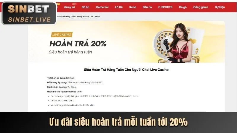 Phân tích các chương trình khuyến mãi và ưu đãi độc quyền tại 168 f